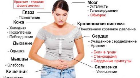 10 признаков нехватки железа