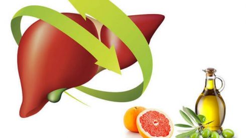 Как почистить печень в домашних условиях