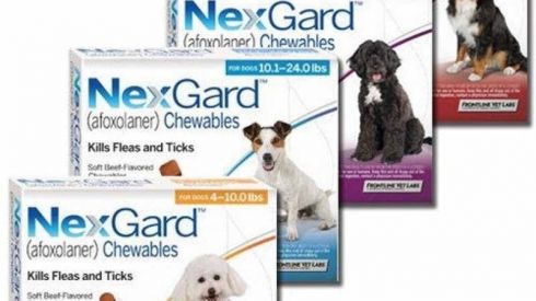 Таблетки от блох и клещей: лечение и профилактика - залог здоровья питомцев и вашей семьи