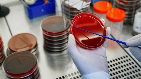 В Минздраве объяснили, почему мутирует коронавирус, и опровергли популярные фейки