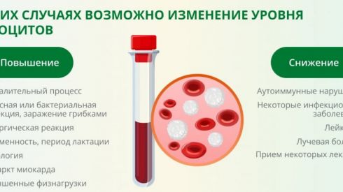 Почему в крови понижены или повышены лейкоциты
