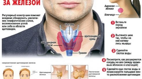 Как в домашних условиях проверить щитовидку