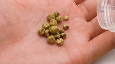 Как растворить камни в почках: народная медицина