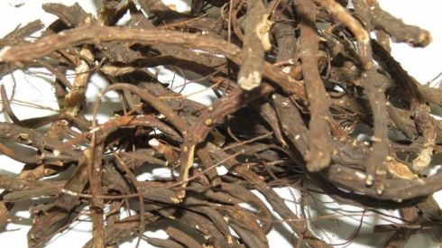 Как вылечить щитовидку лапчаткой белой