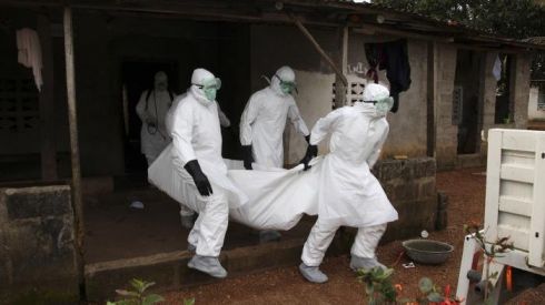 Вірус Марбург з високою летальністю: симптоми і шляхи зараження