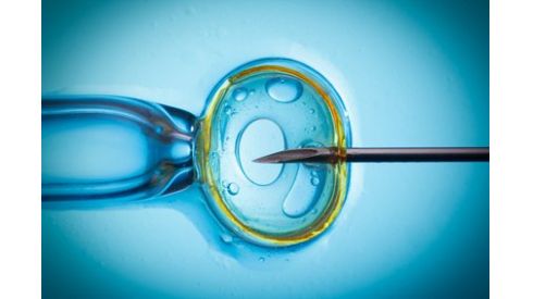 Искусственное оплодотворение: вызывает ли оно рак?