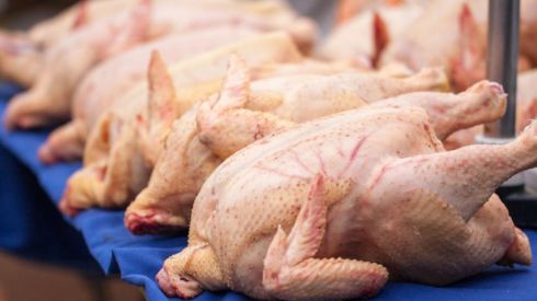 На Київщині – пташиний грип