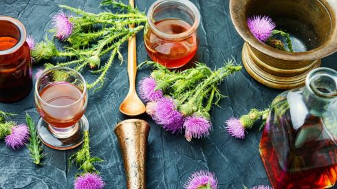 Чим корисна розторопша?