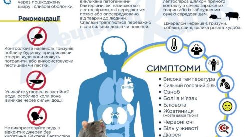 Лептоспіроз у Львівській області: будьте обережні