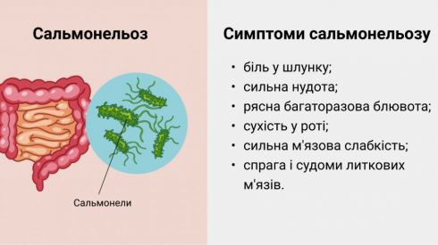 Сальмонеллез: причины, симптомы, лечение