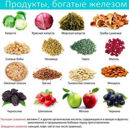 Продукты, богатые железом