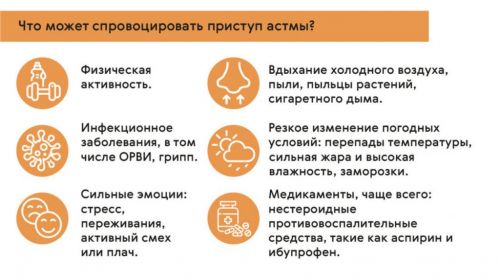 Что обычно провоцирует приступ астмы