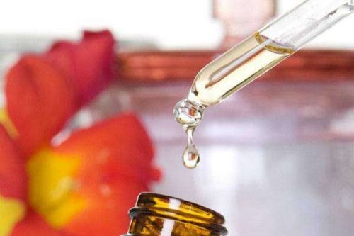 Настойка из лапчатки